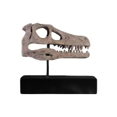 Raptor Dinosaur Skull Life Size Statue