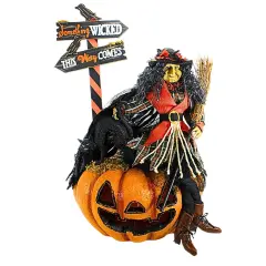 Karen Didion 30.0 Inch Agnes Witch Halloween Figurine , Lighted Halloween Decor Fiber Optic Orange