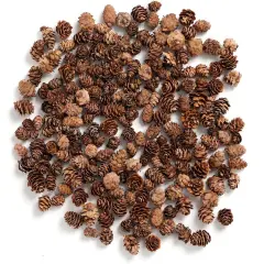 Pine Cones, Mini Pinecones in Bulk for Crafts, 8OZ, Pack of 110 (Natural)