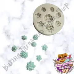 Succulent Variety flower