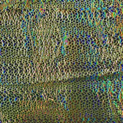 1 Yard Nylon Spandex Fabric with Cobra Hologram Glued Sequin 58/60 Inch Width Neon Yellow Silver