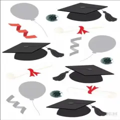 Jolee's Boutique Vellum Graduation Dimensional Stickers