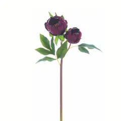 22" Artificial Wine Colored Peony Spray &ndash; Faux Floral Stem for Wedding Bouquets & Elegant Decor-FSP025-WI
