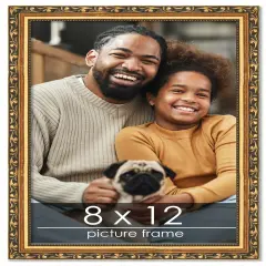 8x12 Museum-Quality Picture Frame with UV-Resistant Acrylic & Acid-Free Backing, Available in 4 Finishes - Gold, Silver, Bronze, and Black