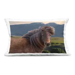 Stupell Industries Windblown Mare in Mountain Valley Decorative Printed Pillow design by Steve Toole, 14 x 7 x 20