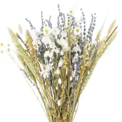 Dried Flowers Bouquet Dried Daisy Flowers Natural Lavender Bundles Dried Gerber Daisies Flowers Bunny Tails Wheat Stalks Floral Arrangements