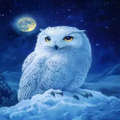Diamond Painting Kits for Adults Owl on Snowy Mountain DIY 5D Diamond Art Kits for Beginners Full Drill Diamond Dots Crystal Craft Kits