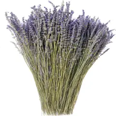 Dried Lavender Flowers Bundles 100% Natural Real Dry Flower for Home Decorations,Home Fragrance 350+ Stems