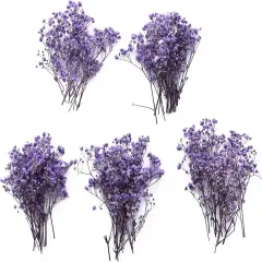 50 pcs Mini Dried Purple Baby Breath Flower Purple Dried Flower for Crafts Press Flowers Wedding Wreath Decoration Gift Card Decor Floral