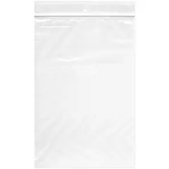 Plymor 6" x 9", 2 Mil with Hang-Hole Zipper Reclosable Plastic Bags