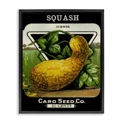 Stupell Industries Vintage Garden Squash Floating Frame Design by Lil' Rue