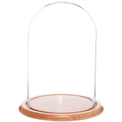 Plymor 9.75" x 15" Glass Display Dome Cloche Oak