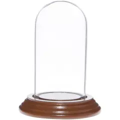 Plymor 2" x 4" Mini Glass Display Dome Cloche Walnut Veneer