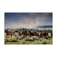Stupell Industries Bustling Horse Herd in Nature Canvas By PHBurchett