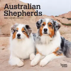 Australian Shepherds | 2026 7 x 14 Inch (Hanging) Monthly Mini Wall Calendar