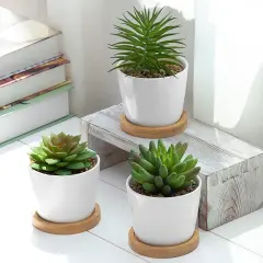 Assorted Artificial Succulent Plants - Decorative Fake Desert Plants with Pebble Fillers in White Ceramic Pots with Bamboo Saucers, Set of 3