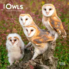Owls | 2026 7 x 14 Inch (Hanging) Monthly Mini Wall Calendar