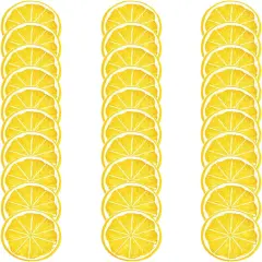 30pcs Artificial Lemon Slices