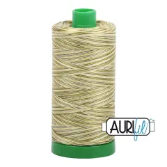 Spring Prairie - Variegated (4653) | 40wt Large Spool (1000M / 1094Y) | Aurifil Thread