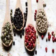 Peppercorn & Hinoki - Premium Fragrance Oil