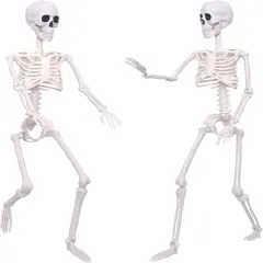 2Pack Skeletons Halloween Decorations