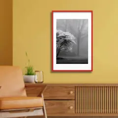 24x36" Red Frame with Mount Horizontal/Vertical No-Nail Hanging Depth Display