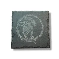 Coaster - Slate - Alien Fossil - SET OF 2