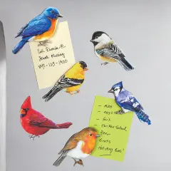 Collections Etc Detailed Wooden Bird Refrigerator Magnets - Set of 6