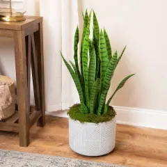 Northlight Real Touch&trade;️ Artificial Two Tone Potted Snake Plant - 3' Green