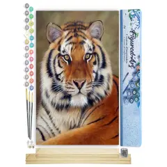 Figured'Art Paint by Numbers Kit for Adults Tiger Look 16"x20" - Craft Art Painting Rolled Canvas with DIY wooden frame