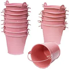 30 Pack Mini Metal Bucket