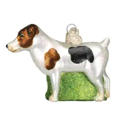 Old World Christmas 2.5 Inch Jack Russell Terrier Christmas Tree Ornament , Ornament Dog Mans Best Friend Multicolored