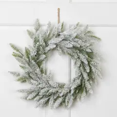 Northlight Heavily Flocked Pine Artificial Christmas Wreath - 16" - Unlit Green