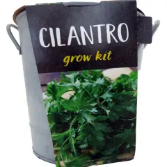 Cilantro Grow Kit - Metal Planter