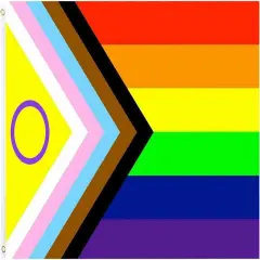 Pride Flag Outdoor New Intersex-Inclusive Progress Pride Flags 4x6 Gay Bisexual LGBTQ+ Rainbow Banner Fade-Resistant