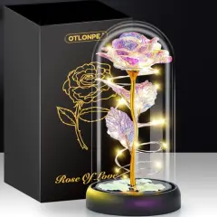 Rose Mothers Day Flowers Gifts for Mom from Daughter Son, Birthday Gifts for Women Wife Mom Grandma Nana, Light Up Rose Flowers in Glass Dome, Gifts for Teacher Mother's Day Anniversary