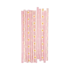 DISCO DAISY REUSABLE STRAWS