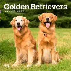 Golden Retrievers | 2026 7 x 14 Inch (Hanging) Monthly Mini Wall Calendar