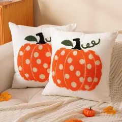 illow Covers 18x18 inch Set of 2 Orange Pumpkin Throw Pillow for Farmhouse