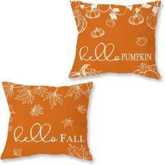 Set of 2 Fall Throw Pillow Covers 20x20