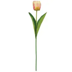 Tulip Floral Stem Champagne