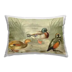Ducks & Pond Nature Design by Gail Fraser Outdoor Printed Pillow 