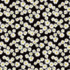 Black White Daisy Dance Cotton Wideback Fabric Per Yard