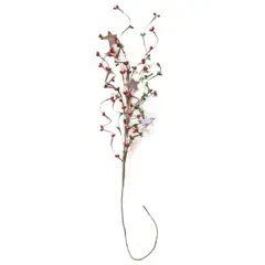 Decorative Pip & Star Spray Green