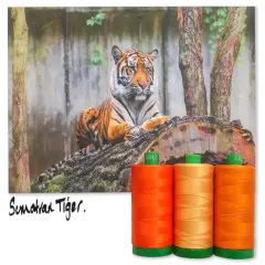Aurifil Sumatran Tiger Color Builder Thread Set by Aurifil | (3 40wt Cotton Large Spools.)