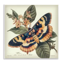 Stupell Industries Detailed Moth & Lilies Wall Plaque Art Design by Steve Huntziker