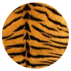 Tiger Skin Car Coasters, Ceramic Stone Drinks Coaster Set for Women Man 2.56" (2 Pack)