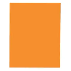 School Smart Folding Bristol Board, 9 x 12 Inches, Orange, Pack of 100