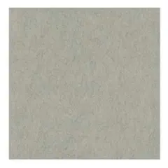Strathmore 400 Series Toned Gray Sheet 19"X24"-Single Sheet