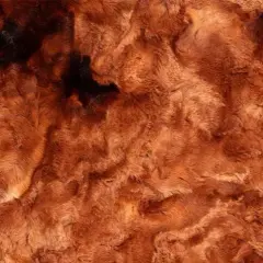 Luxe Cuddle Galaxy Highland Fabric per yard